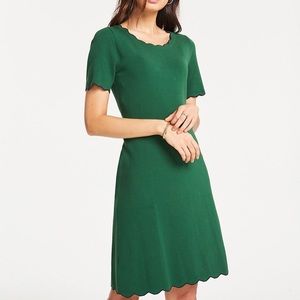 Ann Taylor petite scalloped green dress xs petite